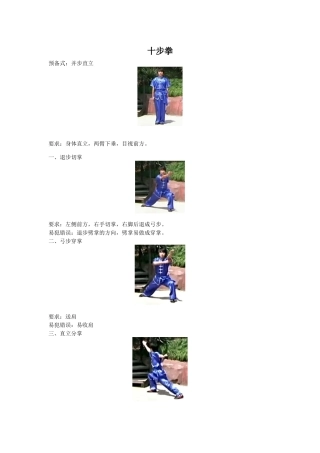 十步拳图文版