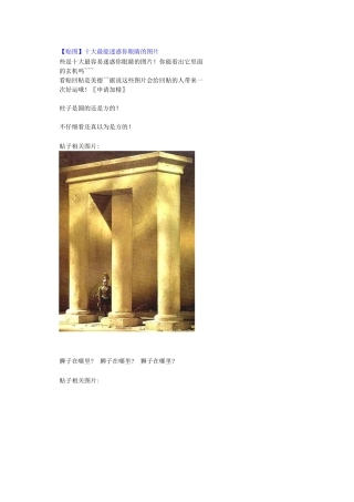 十大最会迷惑人眼睛的图片