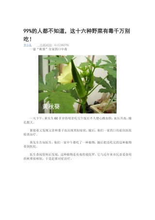 十六种野菜有毒