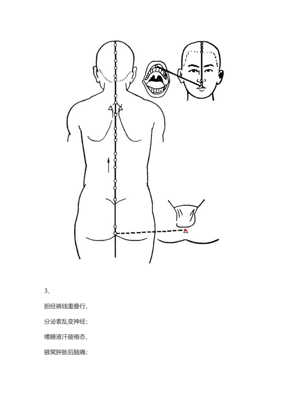 十四经络歌谣_第3页