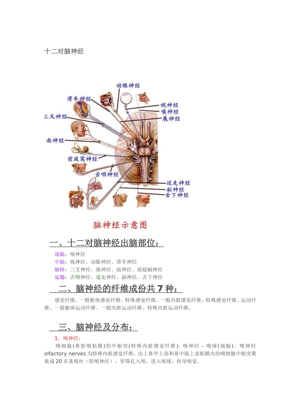十二对脑神经(附图)_第1页