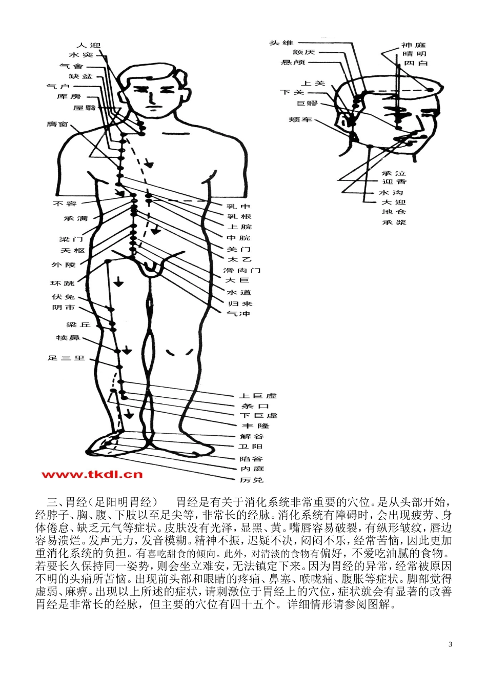 十四经络图解说明_第3页