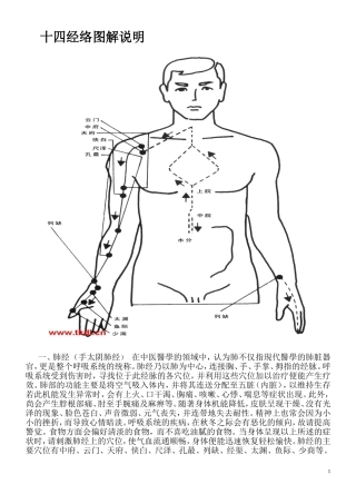 十四经络图解说明