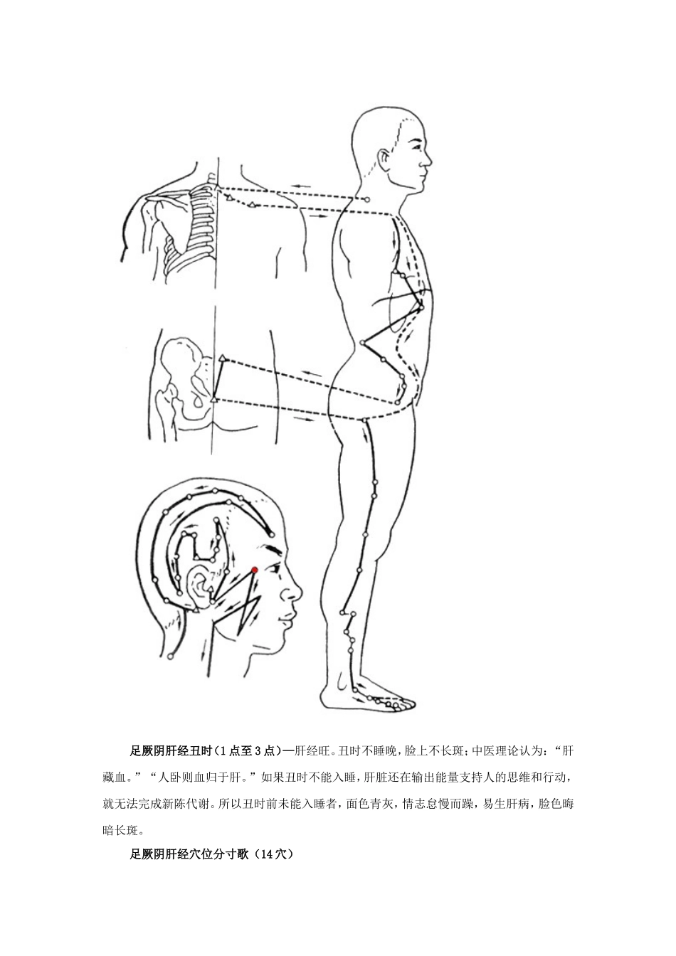十二经络时辰、分寸歌诀、经络循行图_第2页