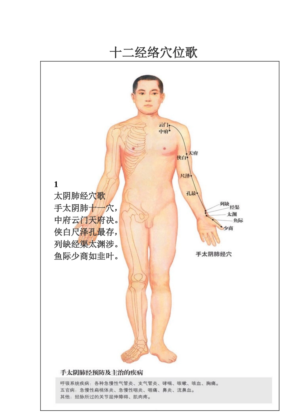 十二经络穴位歌(喜马拉雅)专用版_第1页