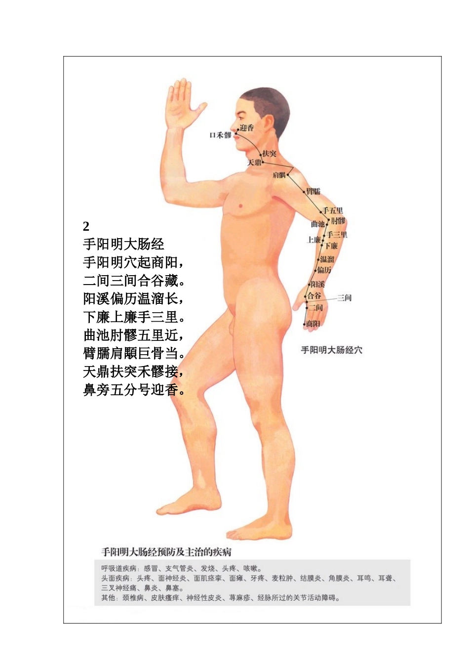 十二经络穴位歌(喜马拉雅)专用版_第2页