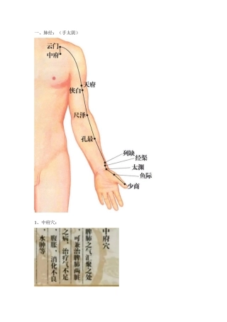 十二经络-中里巴人