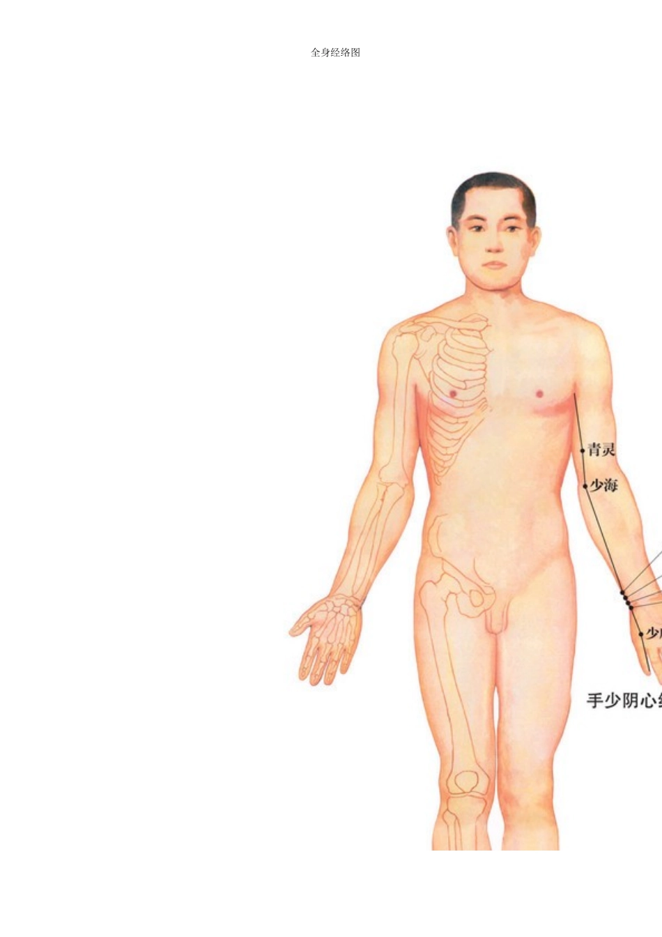 十二经脉及任督二脉全身示意图及穴位考试必备_第2页