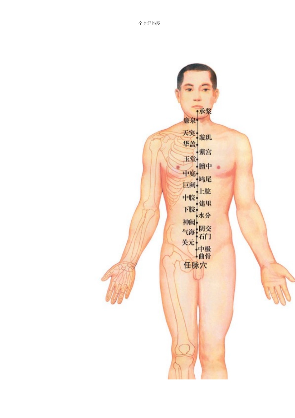 十二经脉及任督二脉全身示意图及穴位考试必备_第3页