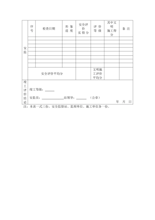 十项安全安全检查评分表