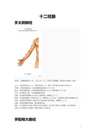 十二经脉穴位定位