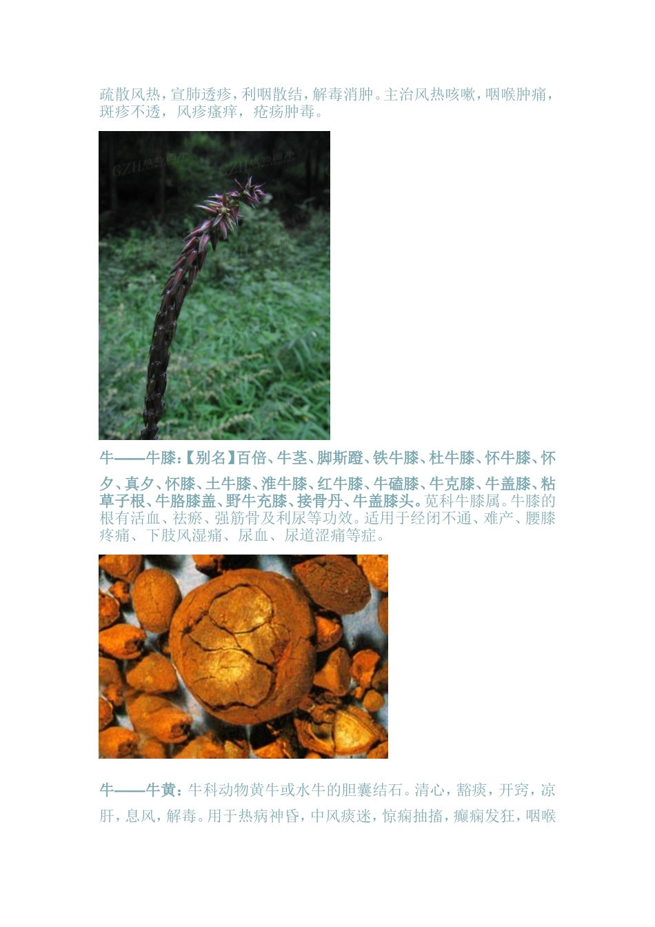 十二生肖中药_第2页