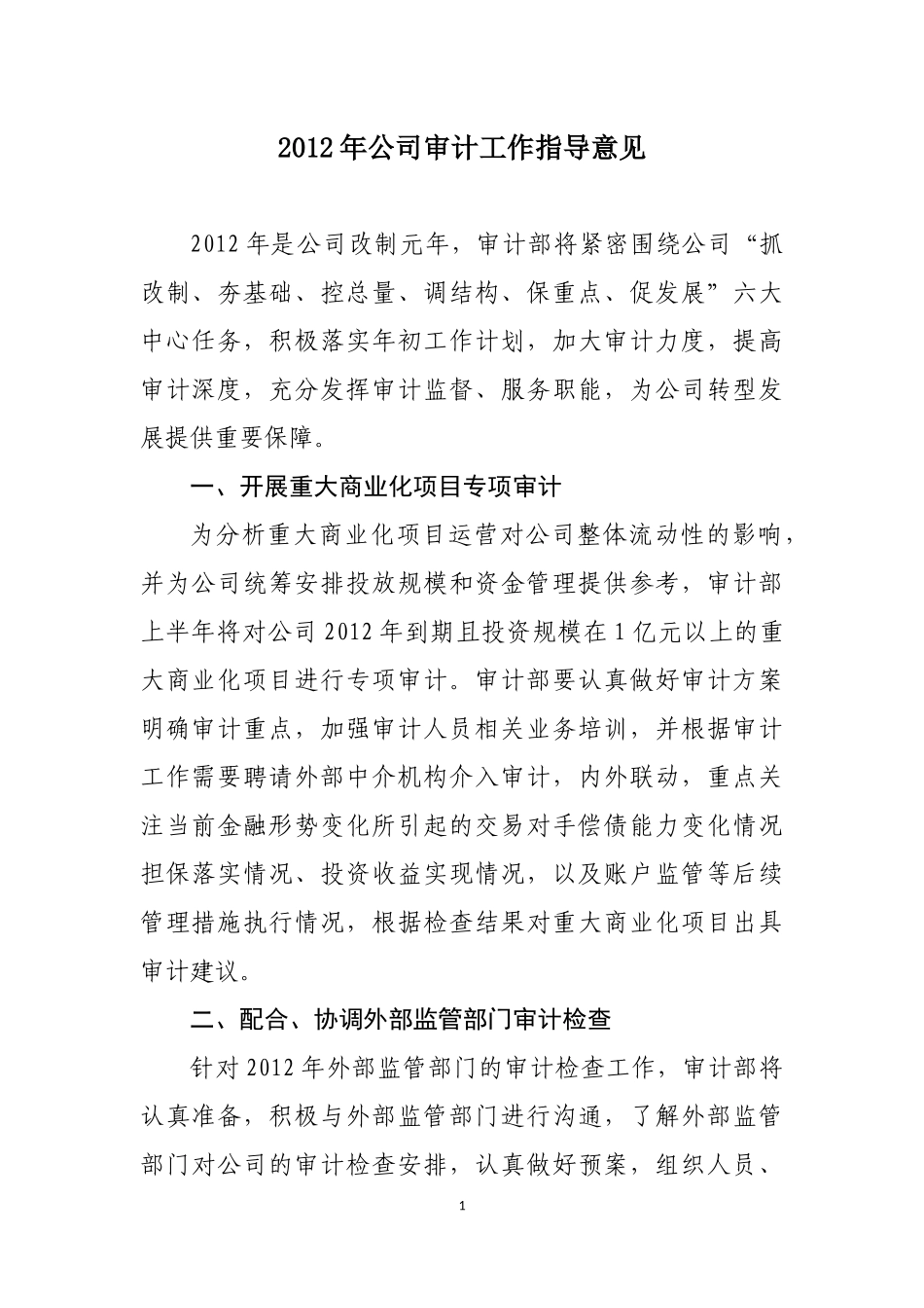 十、2012年公司审计工作指导意见_第1页