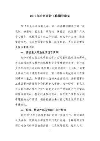 十、2012年公司审计工作指导意见
