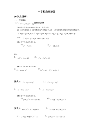 十字相乘法分解因式经典例题和练习