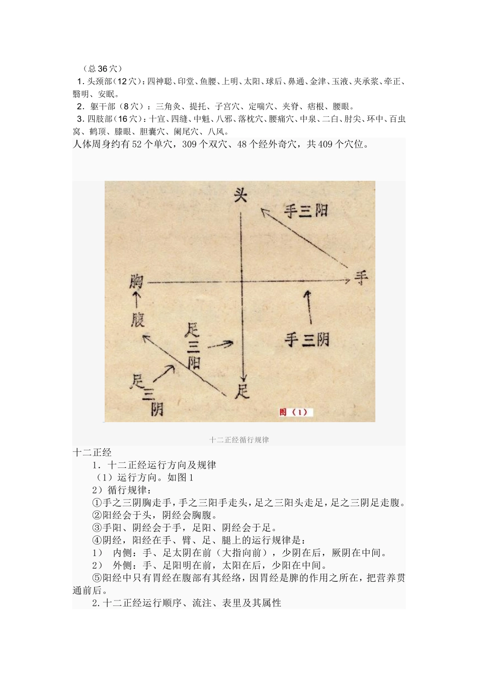 十二正经、穴位[1]_第3页