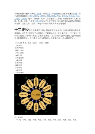 十二正经、穴位[1]