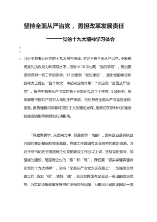 十九大学习总结