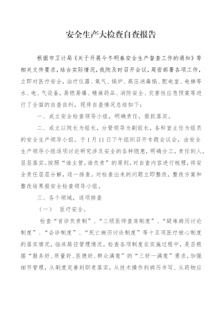 医院安全生产自查报告(同名13093)