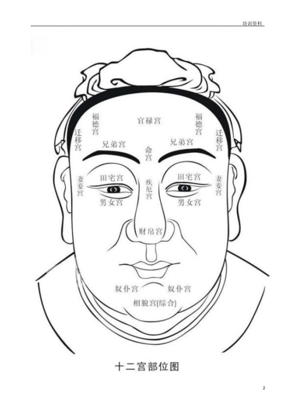 医美基础学面部十二宫_第2页
