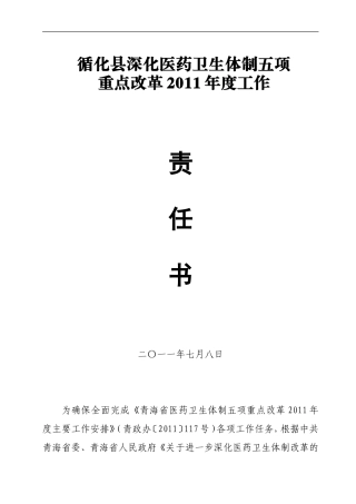 医药卫生体制五项重点改革