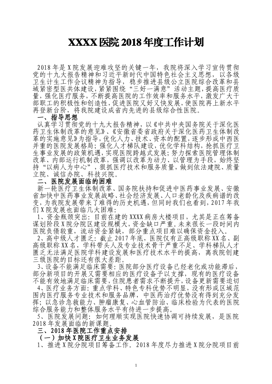 医院2018年度工作计划_第1页