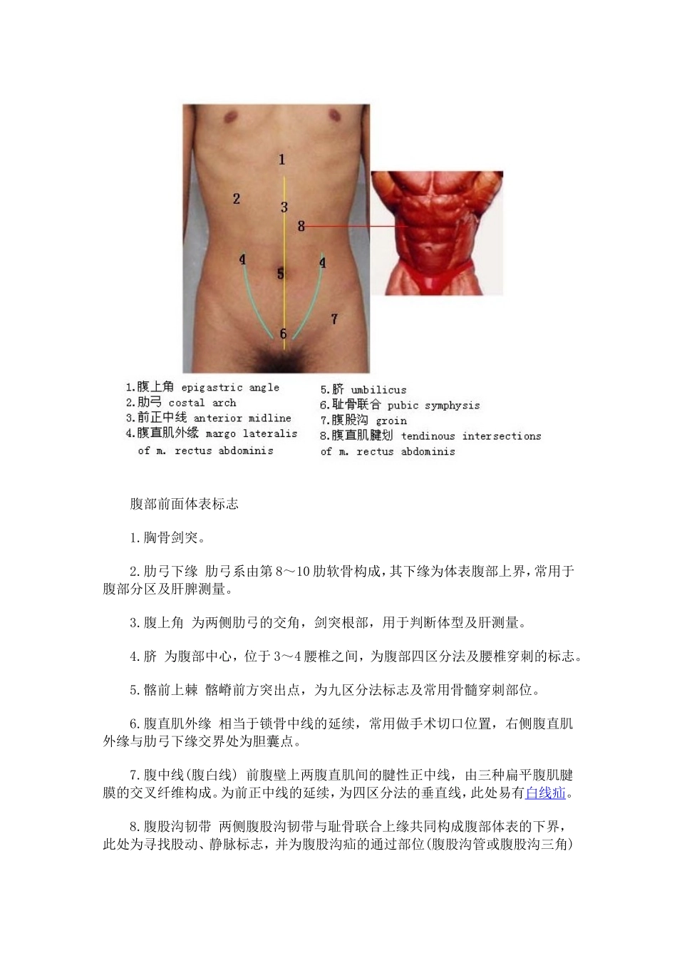 医学好东西腹部检查(一)—腹部体表标志及分区_第2页