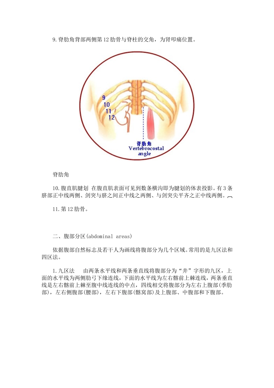 医学好东西腹部检查(一)—腹部体表标志及分区_第3页