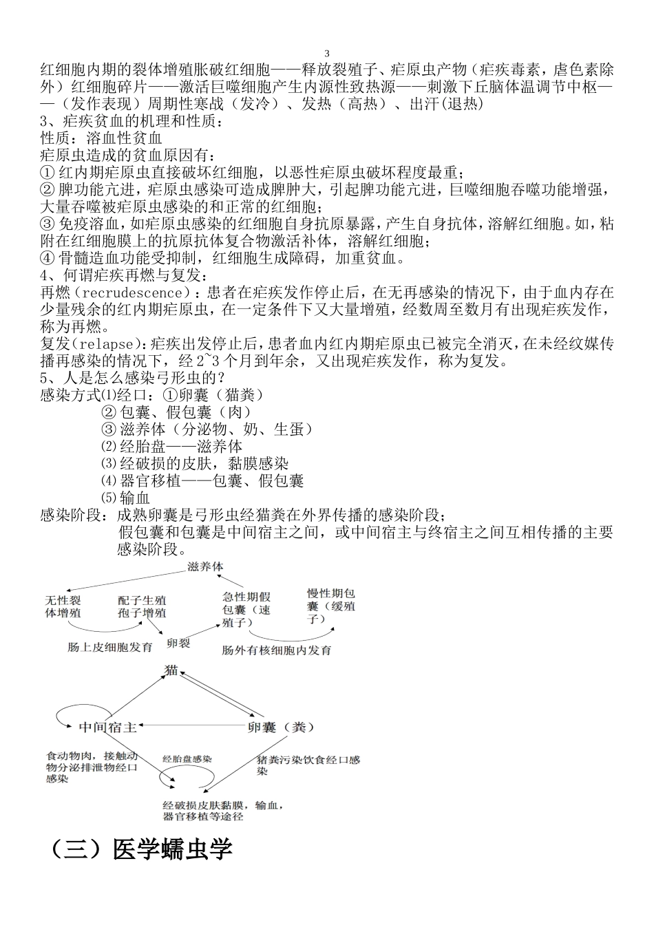 医学寄生虫复习(重要笔记)_第3页
