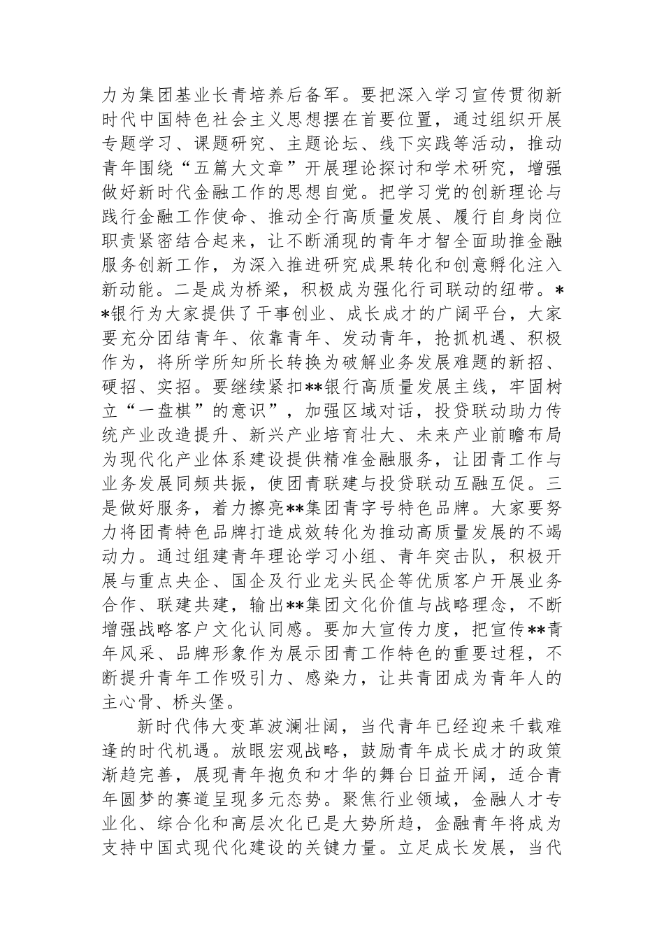 在2024年集团青年干部座谈会上的致辞_第3页