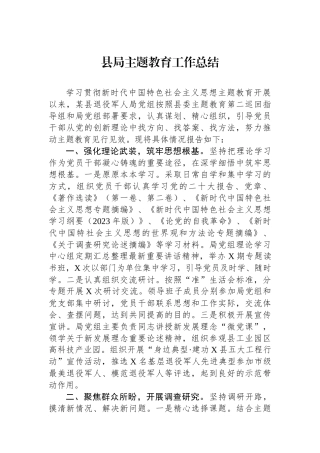 县局主题教育工作总结