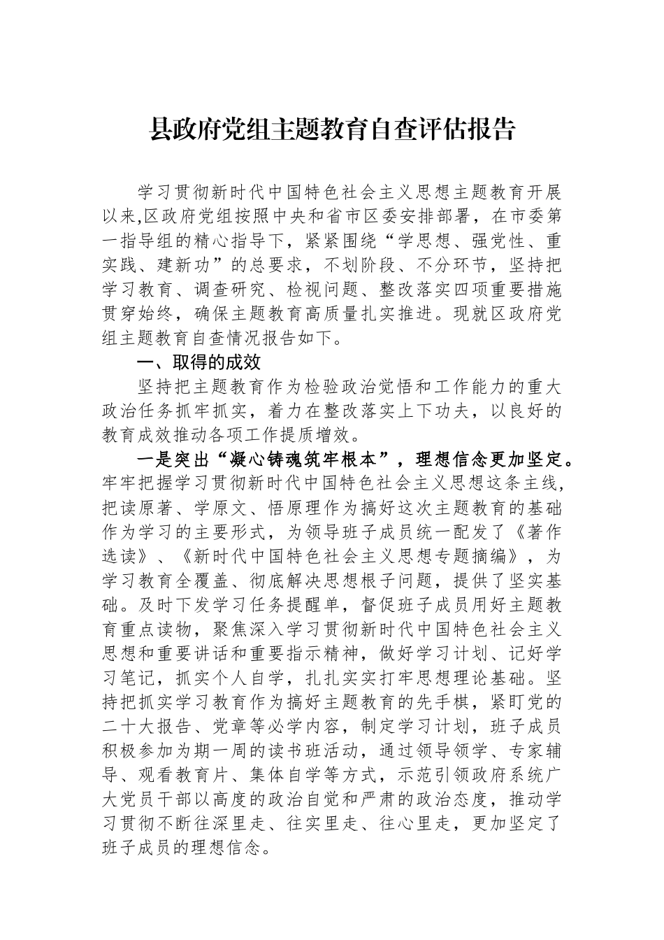 县政府党组主题教育自查评估报告_第1页