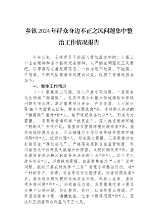 乡镇2024年群众身边不正之风问题集中整治工作情况报告