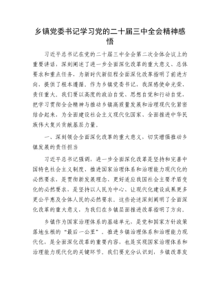 乡镇党委书记学习党的二十届三中全会精神感悟