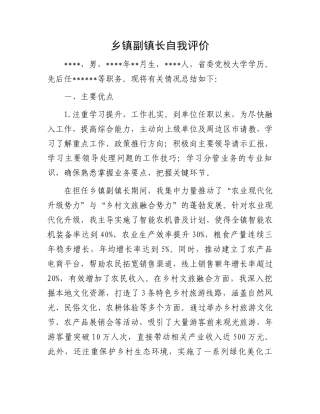 乡镇副镇长自我评价