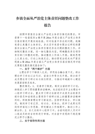 乡镇全面从严治党主体责任问题整改工作报告