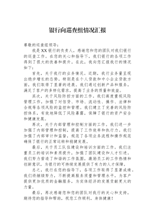 银行向巡查组情况汇报