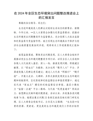 在2024年全区生态环境突出问题整改推进会上的汇报发言