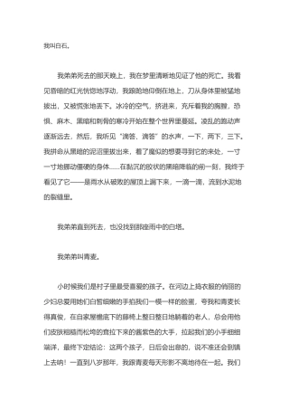 北大培文杯获奖作文