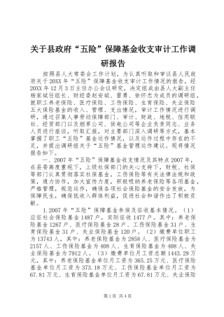 关于县政府五险保障基金收支审计工作调研报告