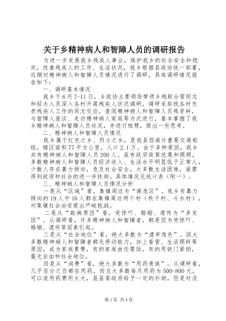 关于乡精神病人和智障人员的调研报告