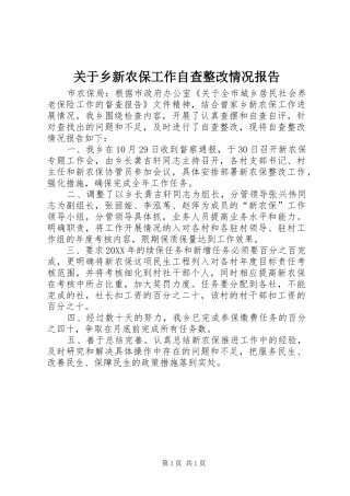 关于乡新农保工作自查整改情况报告