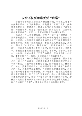安全不仅要承诺更要践诺
