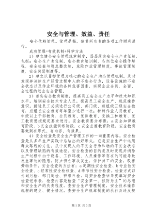 安全与管理效益责任