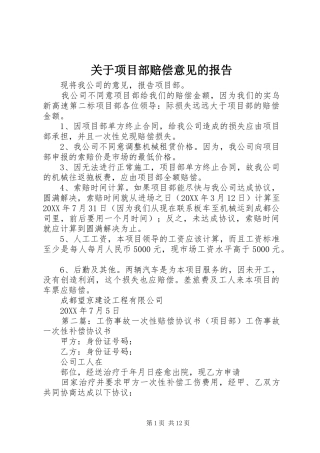 关于项目部赔偿意见的报告