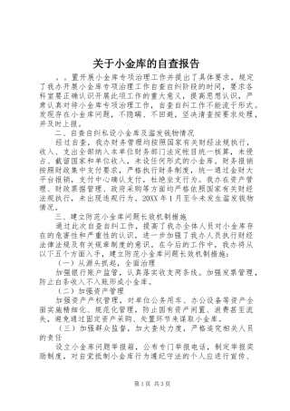 关于小金库的自查报告