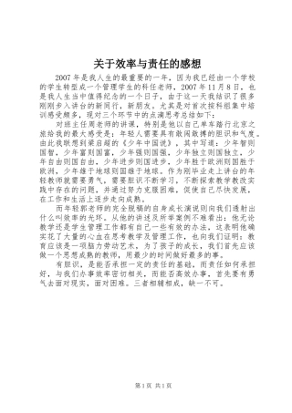 关于效率与责任的感想