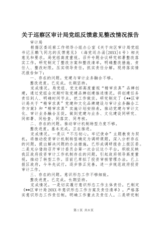 关于巡察区审计局党组反馈意见整改情况报告