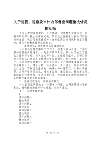 关于巡视巡察及审计内部督查问题整改情况的汇报