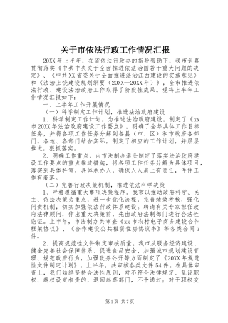 关于市依法行政工作情况汇报
